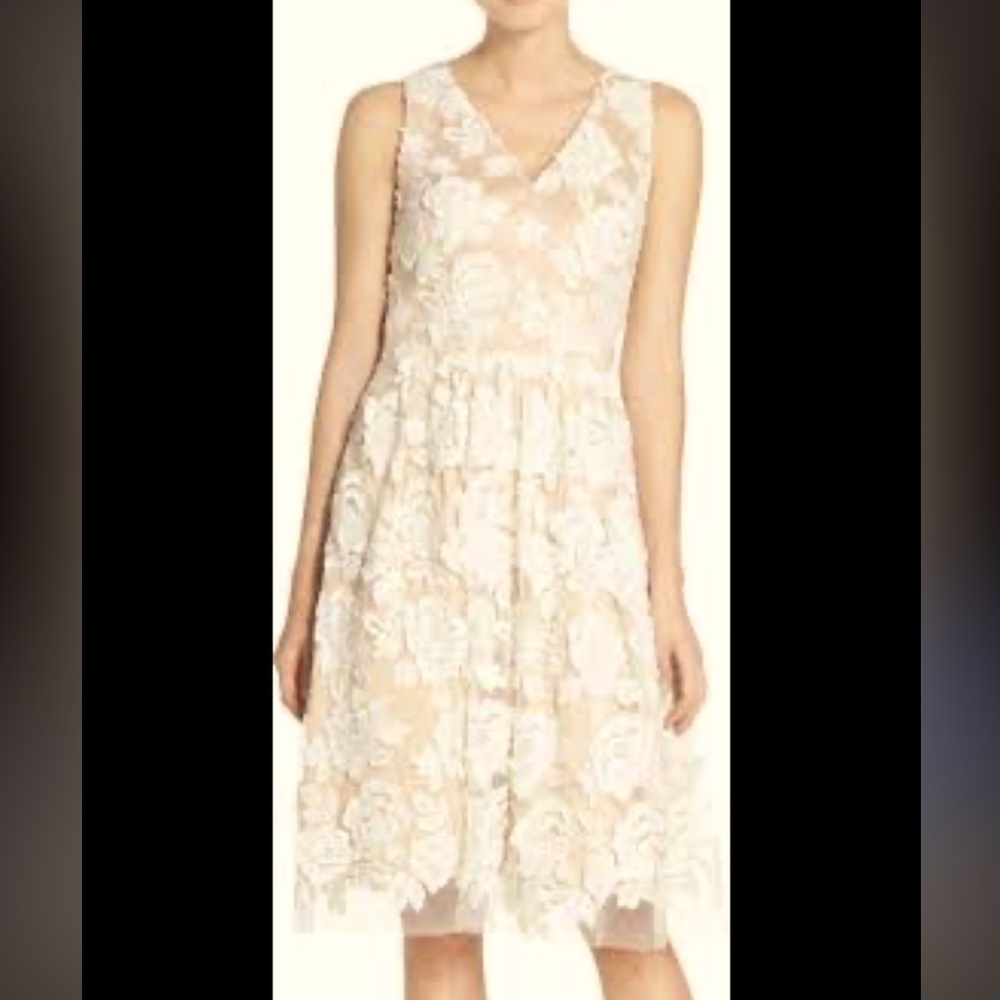 Eliza J Mesh White Floral Appliqué Dress Fit & Flare Cocktail Dress, size 10